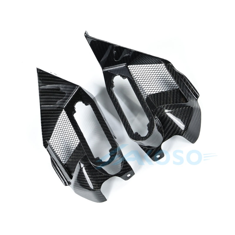 AKOSO 2025+ BMW R1300GS Adventure Dry Carbon Fiber Air Intake Covers
