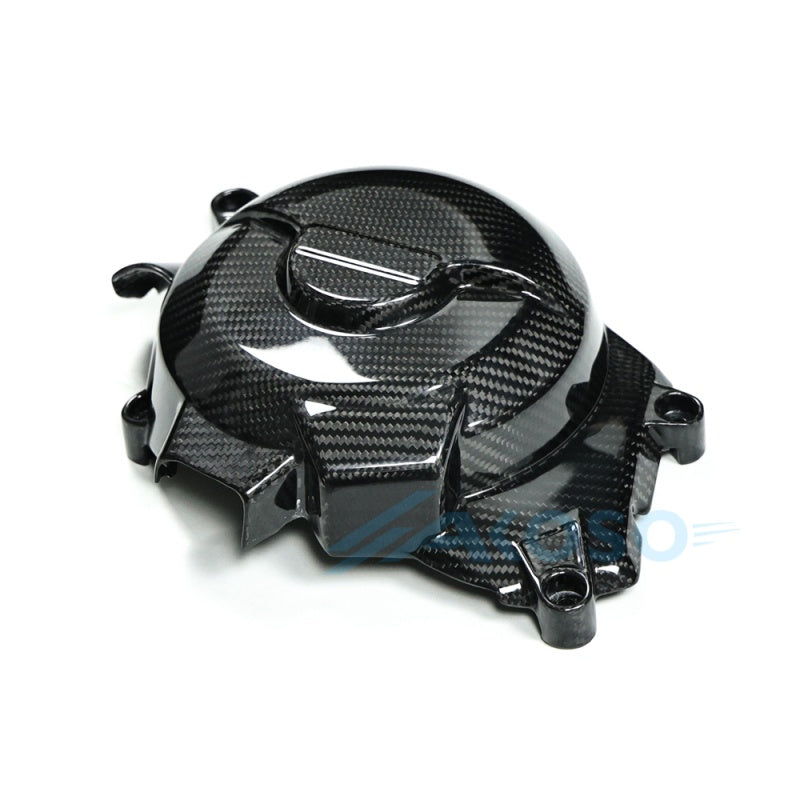AKOSO 2020-2024 BMW F900R F900XR Carbon Fiber Engine Cover Protection