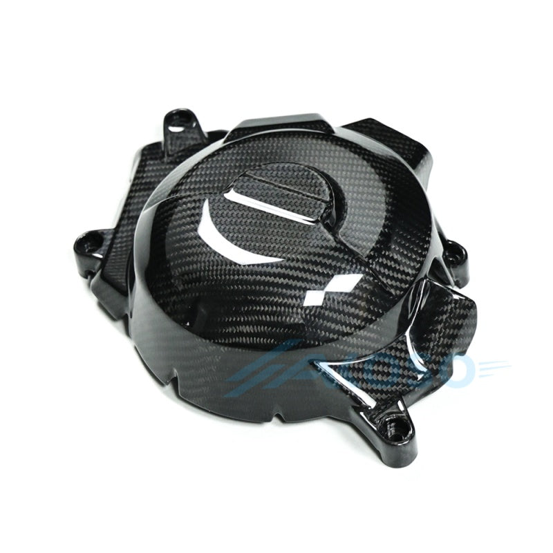 AKOSO 2020-2024 BMW F900R F900XR Carbon Fiber Engine Cover Protection
