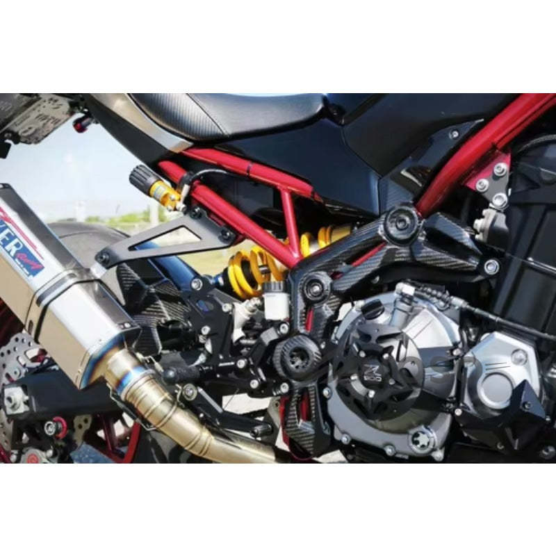 AKOSO 2017-2019 Kawasaki Z900 Carbon Fiber Motorcycle Side Trim Fairing Frame Guard Panel Cover