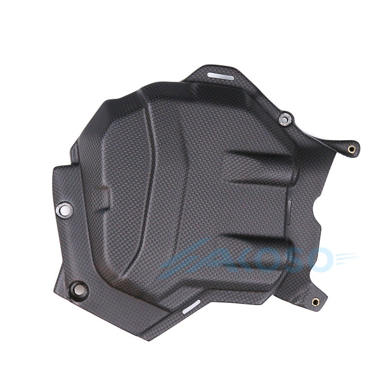 AKOSO 2021 + DUCATI Multistrada V4 1100 Carbon Fiber Engine Cover