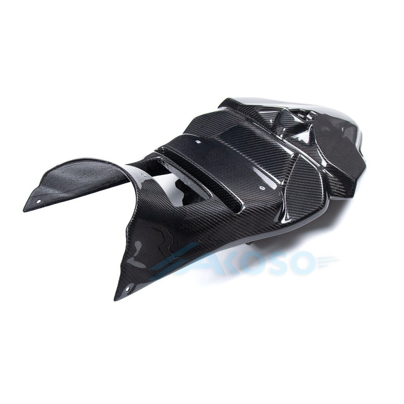 AKOSO 2023+ M1000RR Carbon Fiber Rear Subframe Race Tail Fairing