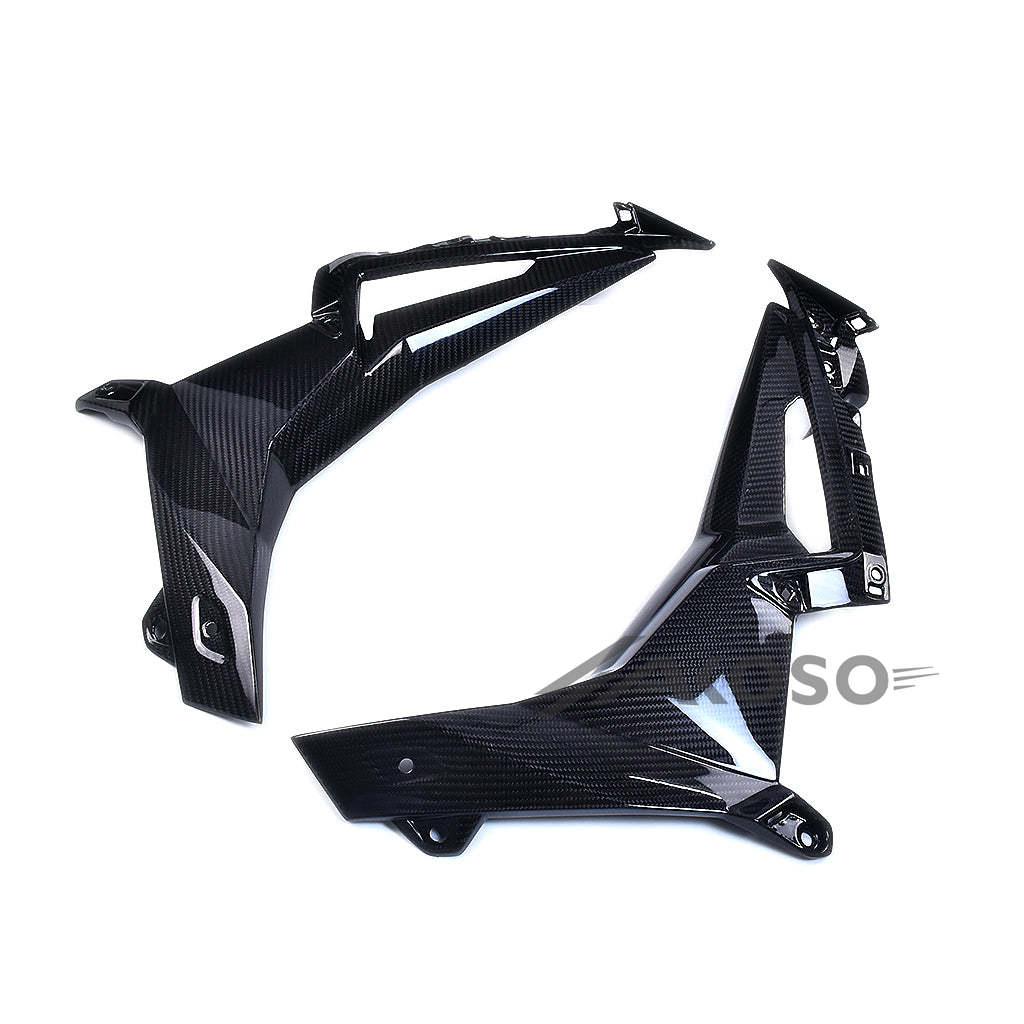 AKOSO 2021-2024 BMW S1000R Motorcycle Carbon Fiber Inner Side Fairings