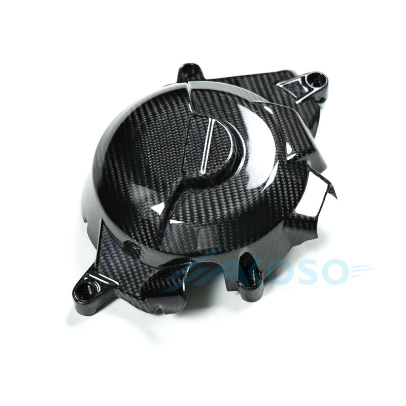 AKOSO 2020-2024 BMW F900R F900XR Carbon Fiber Engine Cover Protection