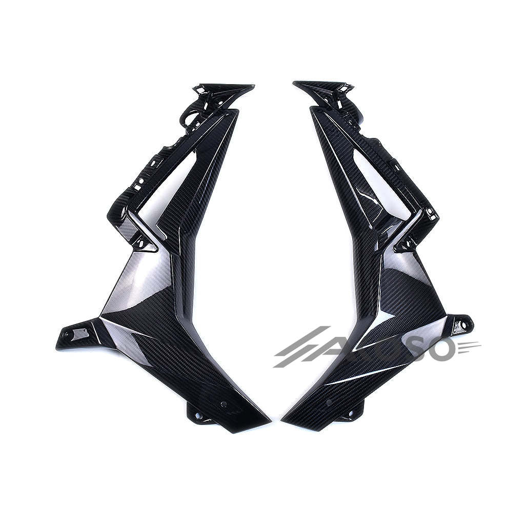 AKOSO 2021-2024 BMW S1000R Motorcycle Carbon Fiber Inner Side Fairings