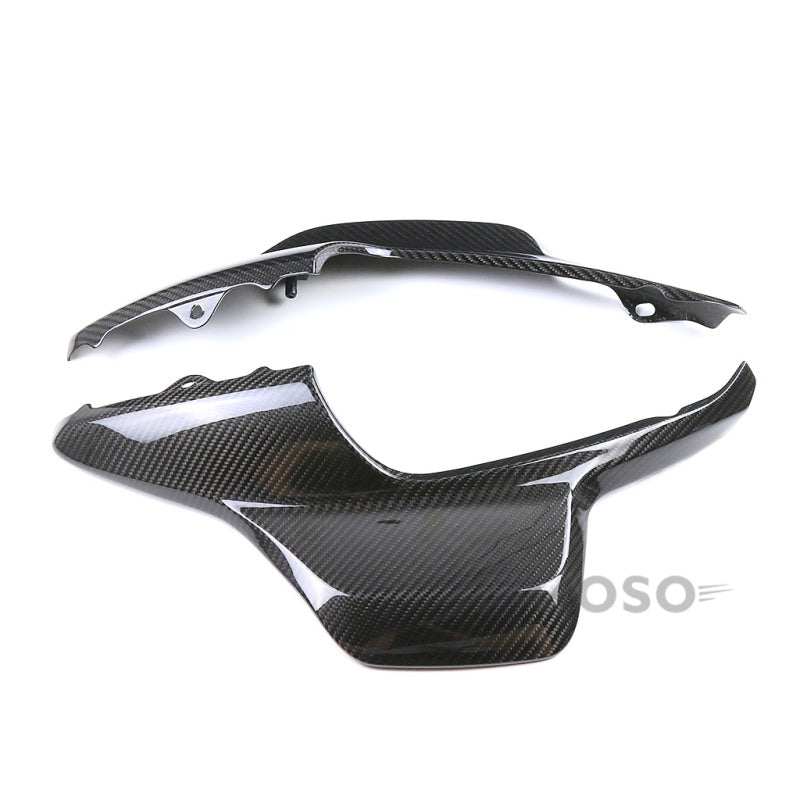 AKOSO 2021+ Harley Davidson Sportster S RH1250 1250S Carbon Fiber low-profile Tail Fairing